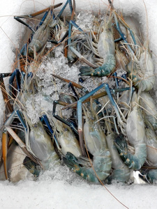 农事 美味的 照片 健康 沼虾属 龙虾 准备 斜纹夜蛾 自然