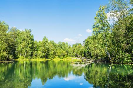 美丽的夏季景观与湖泊