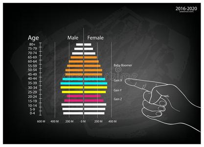 手指向2016-2020年人口金字塔图,4代照片