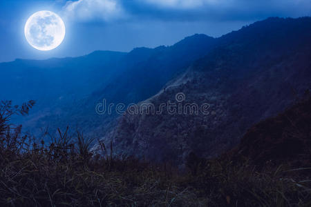 国家的 满的 风景 神秘 美女 月出 乡村 森林 傍晚 夜间