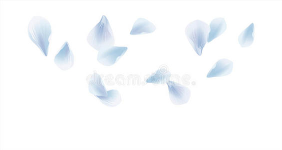 白色背景上分离出的白色浅蓝色花瓣。 玫瑰花瓣。 落下的樱花。 矢量EPS10CMYK