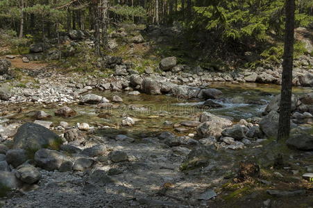 美丽的风景里拉山与森林和伊斯卡河