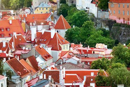 爱沙尼亚 政府 高的 市中心 教堂 中心 目的地 欧洲 爱沙尼亚语