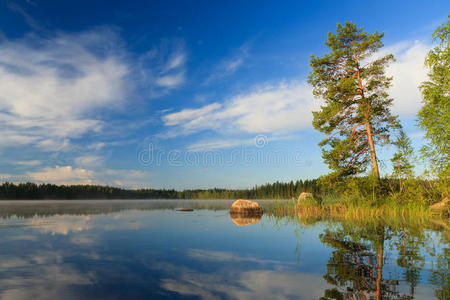 早晨 露水 场景 芬兰语 黎明 湖滨 湖边 太阳 岩石 季节