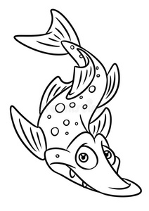 梭子鱼图片-梭子鱼素材-梭子鱼插画-摄图新视界