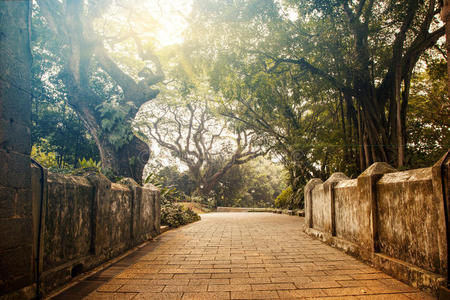 坎宁堡公园在新加坡