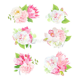花束 茶花 牡丹 分类 混合 礼物 花的 花园 绣球花 插图