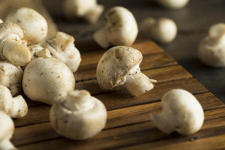 烹饪 按钮 篮子 饮食 蘑菇 栽培 宝贝 标准 营养 健康
