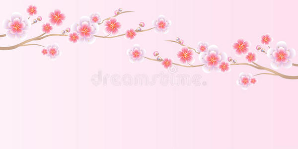花卉设计。 浅粉色背景上的樱花枝。 苹果树的花。 樱花。 矢量EPS10CMYK