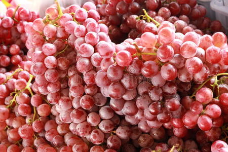 葡萄葡萄分离红色白色背景自然
