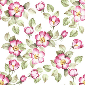 打印 纹理 森林 花环 树叶 水彩 分支 卡片 玫瑰果 野花