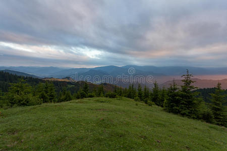 美丽的 土地 解放军 自然 喀尔巴阡山 风景 植物区系 公园