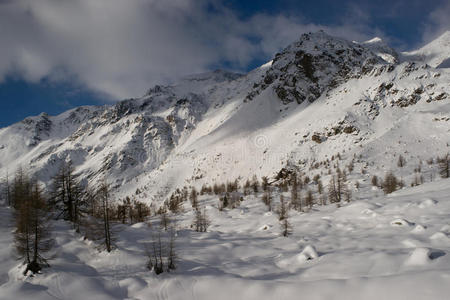 旅行 风景 阳光 被雪覆盖 斜坡 白云石 自然 阿尔卑斯山