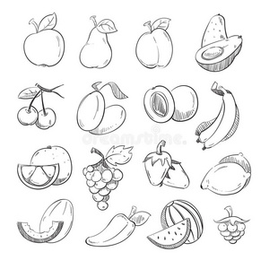 形象 营养 偶像 涂鸦 要素 自然 水果 饮食 绘画 甜瓜
