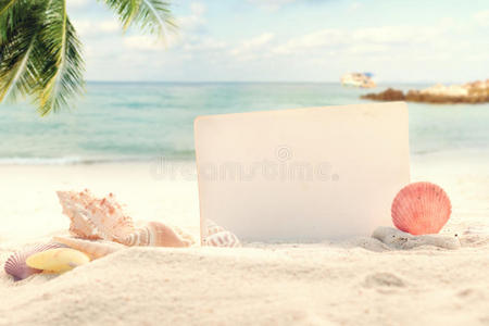 夏天 闲暇 海滨 贝壳 棕榈 生活 海星 复古的 假期 娱乐