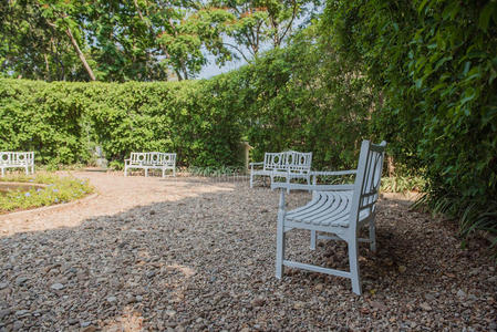 自然 国家 植物学 假期 美好的 植物区系 长凳 公园 椅子