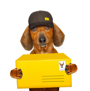 邮递员 动物 货物 纸箱 运货马车 信使 包装 信封 邮件