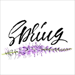字母 签名 半色调 要素 季节 紫色 插图 春天 艺术 邀请