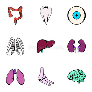 器官 胰腺 居住 插图 身体 生物学 医院 肝脏 笼子 胆囊