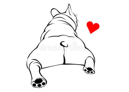 犬图片-我可爱的法国斗牛犬素材-我可爱的法国斗牛犬插画-摄图新视界