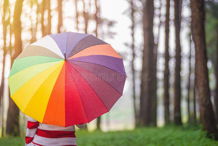美丽的女人带着五颜六色的雨伞站在秋天的公园里
