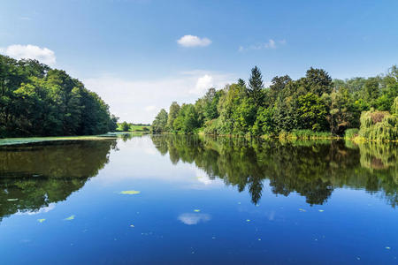 森林 自然 公园 摩拉维亚人 植物 全景 风景 秋天 美丽的