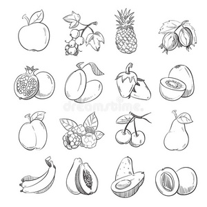 手绘涂鸦水果矢量插图用于水果包装