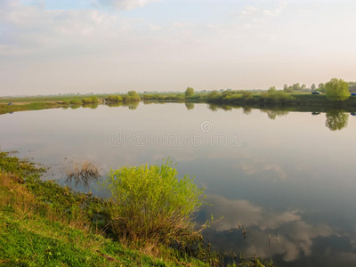 秋天 夏天 反射 美女 森林 天空 春天 风景 美丽的 黎明