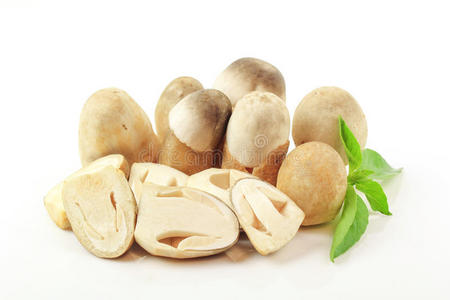 素食主义者 健康 蔬菜 农业 蘑菇 饮食 食物 泰语 真菌