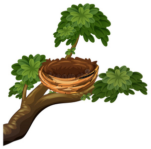 鸟窝在树枝上照片