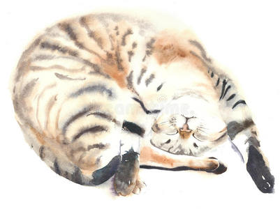 猫小猫睡觉,躺在水彩插图绘画隔离在白色背景贺卡上插画