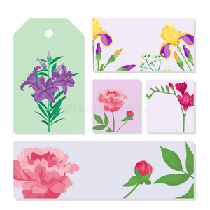 卡通花瓣，复古花卉矢量花束，花园花，植物，天然牡丹，插图和夏季花卉