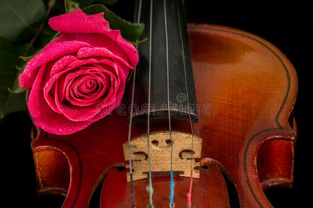 声音 艺术 音乐 床单 周年纪念日 美丽的 小提琴 纸张