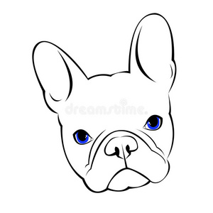 斗牛犬动物法国矢量插图宠物品种可爱的画小狗