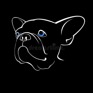 斗牛犬动物法国矢量插图宠物品种可爱的画小狗