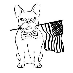 斗牛犬动物法国矢量插图宠物品种可爱绘图照片