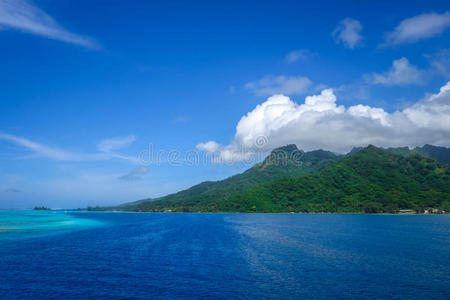 丛林 海洋 假期 海湾 海岸 风景 自然 海滩 美女 巡航