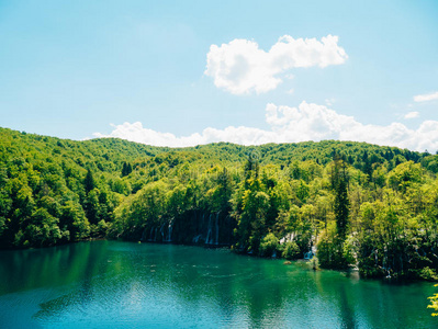 生态学 植物 森林 颜色 美丽的 落下 湖泊 自然 风景