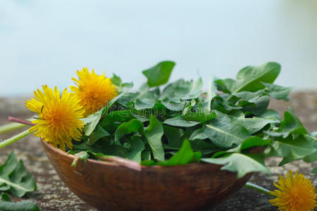 自然 春天 素食主义者 草本植物 沙拉 杂草 植物区系 蔬菜