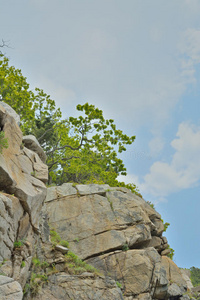 自然 花岗岩 场景 天空 风景 石头 橡树 岩石 树叶 悬崖