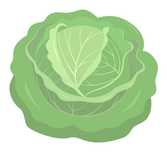 甘蓝叶插画-甘蓝叶手绘-甘蓝叶卡通图-摄图新视界