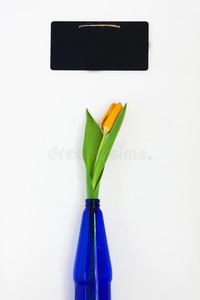 黑板 罗姆人 艺术 卡片 粉笔 框架 美丽的 庆祝 丁香花