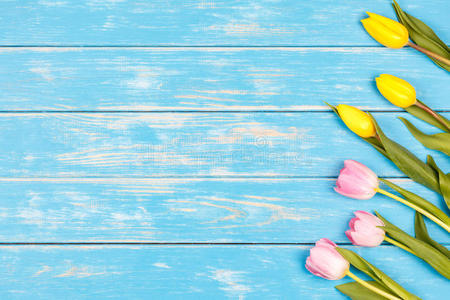 花瓣 自然 周年纪念日 花束 生日 植物学 材料 颜色 开花