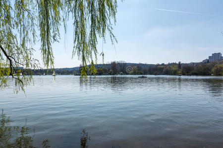 蓝色湖水反射景观池最大眼见斯图加特