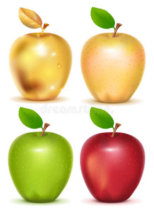 食物 插图 水果 财富 素食主义者 颜色 甜的 露水 苹果