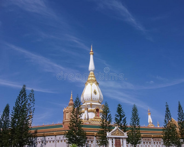 建筑学 泰国 旅游业 佛教徒 旅行 文化 宝塔 宗教 旅行者