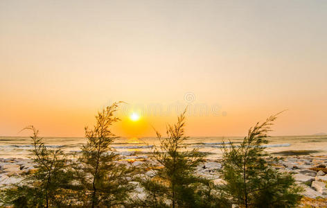 旅游业 求助 情景 曲曲 夏天 森林 寒冷的 海滩 风景