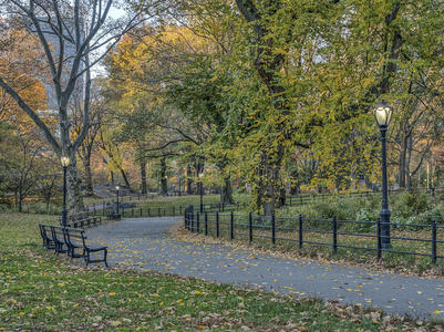 纽约市中央公园