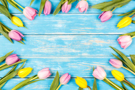 一束彩色郁金香躺在蓝色的木制背景上