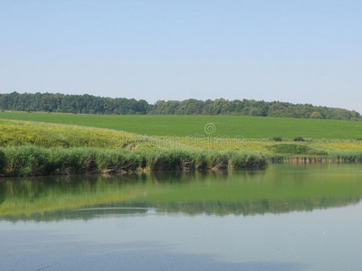 夏季景观